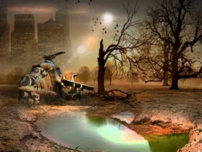 Снорк Макс - Цветок папоротника