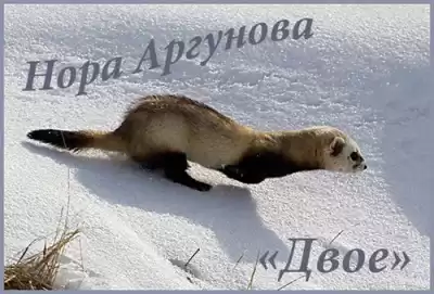 Аргунова Нора - Двое