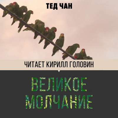 Чан Тед - Великое молчание