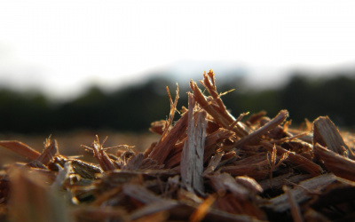 Андерсен Ганс - И в щепке порой скрывается счастье...