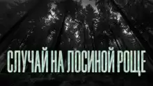 Новгородов Олег - Случай на Лосиной Роще