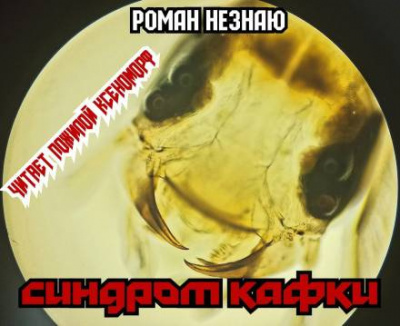 Незнаю Роман - Синдром Кафки