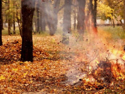 Журавлев Павел - Когда растает дым