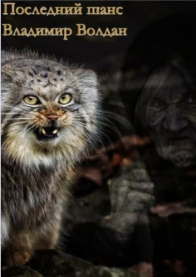 Волдан Владимир - Последний шанс